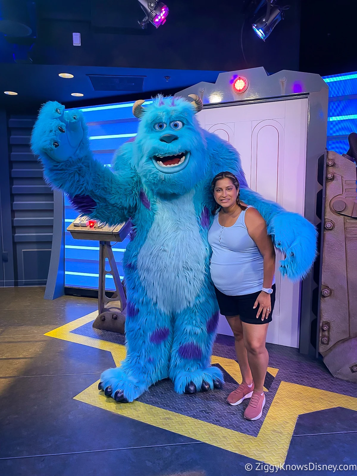 Pregnant woman with Sully Monsters Inc Character Meet