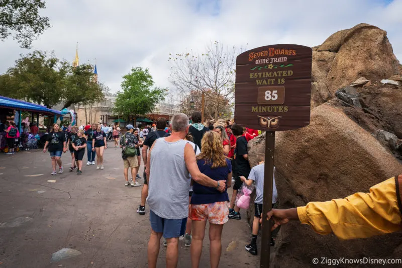 Seven Dwarfs Mine Train standby queue 85 minutes wait time