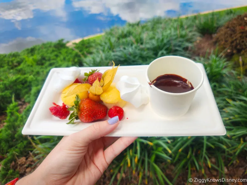 The Alps Dark Chocolate Fondue with berries food and wine festival
