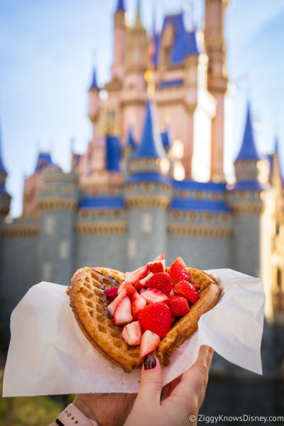 Sweet waffle with fruit at Sleepy Hollow Refreshments at Magic Kingdom in front of the castle