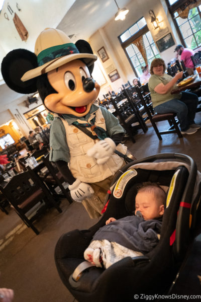 Mickey Mouse coming to visit baby at Tusker House breakfast buffet Animal Kingdom