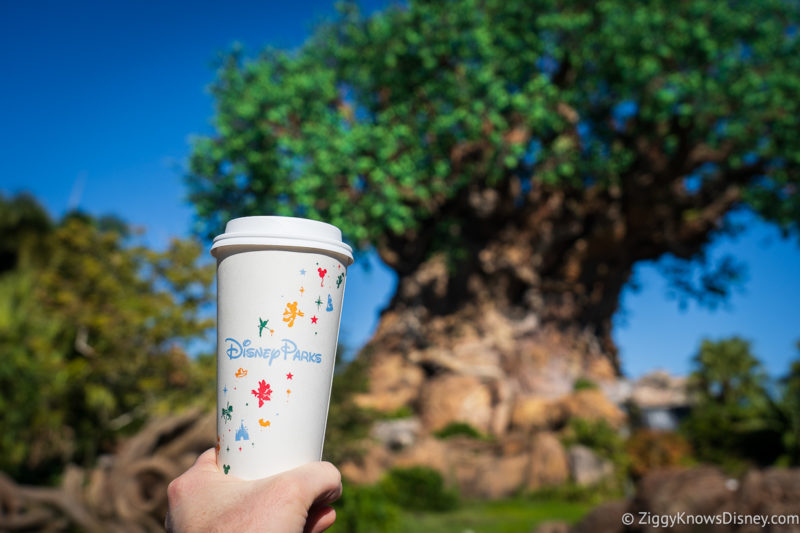 holding up a cup of coffee in front of the Tree of Life Disney's Animal Kingdom
