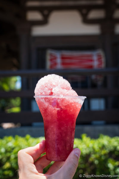 Sake Mist Drink EPCOT