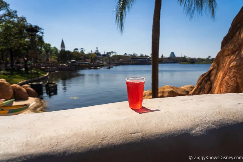 beer in World Showcase EPCOT