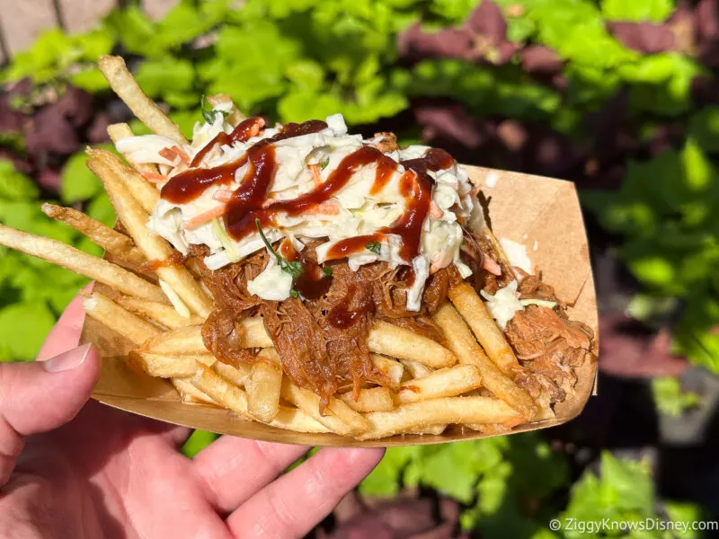 Chipotle Barbecue Fries Casey's Corner Magic Kingdom