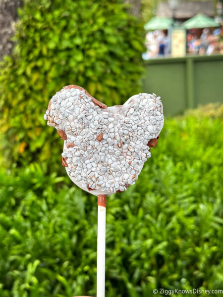 Mickey Liquid Nitro Cake EPCOT