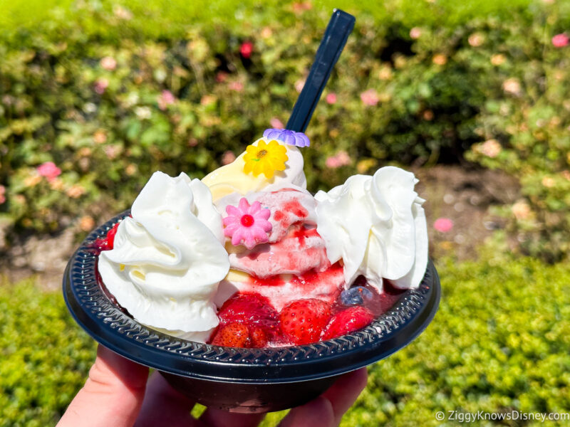 Rapunzel Sundae Storybook Treats Magic Kingdom