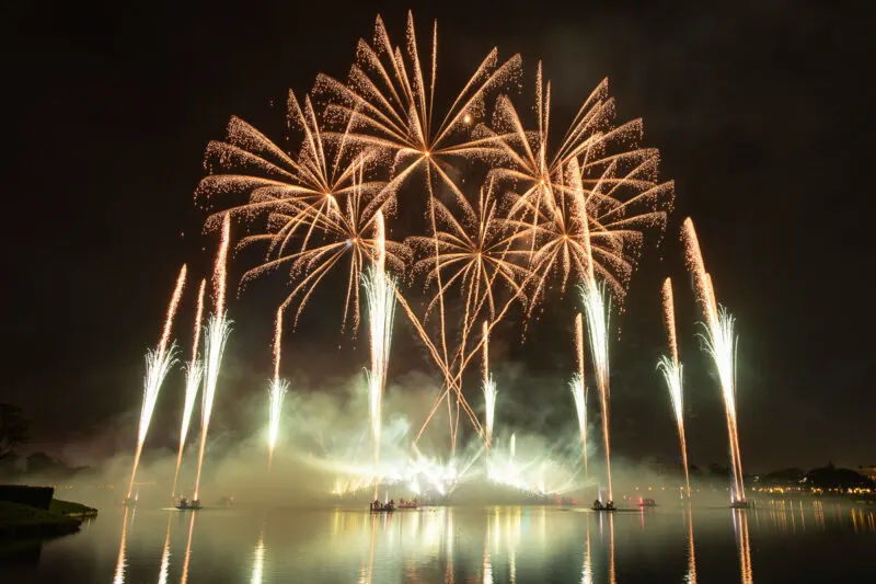Luminous The Symphony of Us EPCOT fireworks show