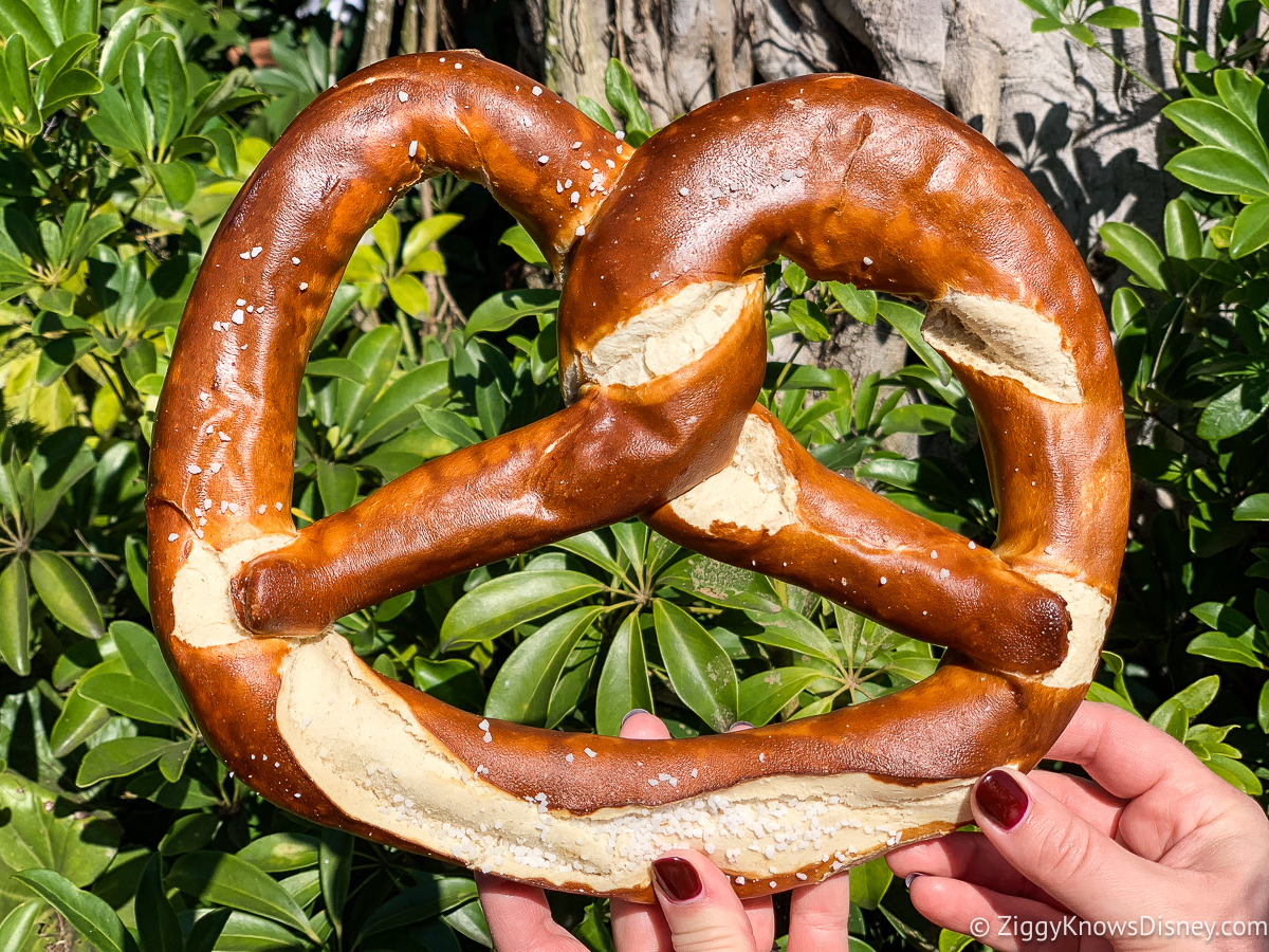 Huge Pretzel Animal Kingdom