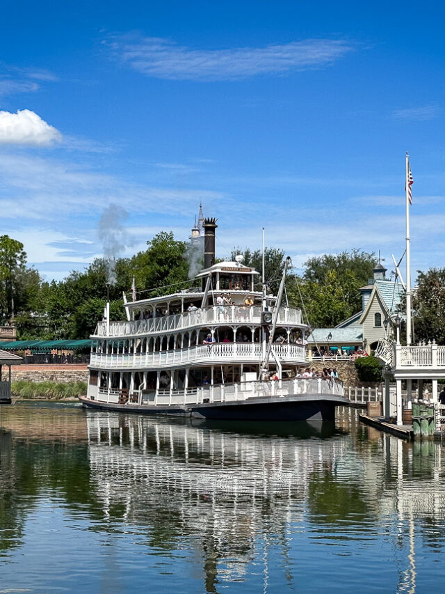 What is the Best Disney World Park in 2025? Story