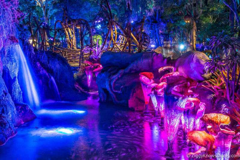 water at night in Pandora: The World of Avatar