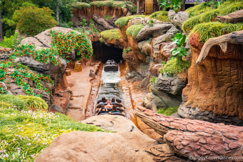 Tiana's Bayou Adventure Magic Kingdom