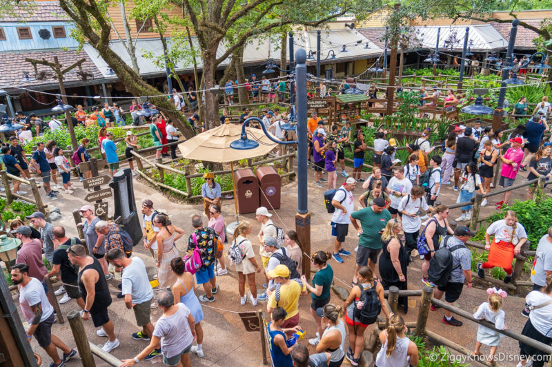 crowds waiting outside Tiana's Bayou Adventure Magic Kingdom
